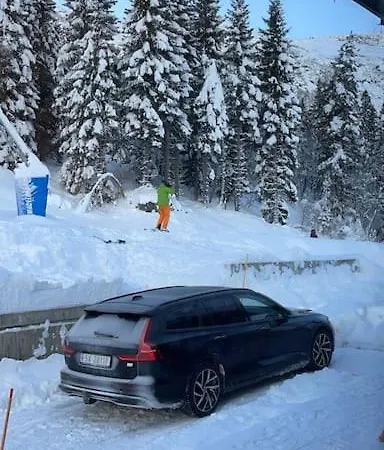 Voss Fjellvilla, Voss
